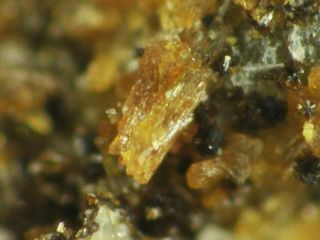 Jahnsite - (camnmn),  Stewartite & Frondelite From Germany Rare Minerals 2,  8 Cm