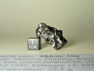 Meteorite Sikhote - Alin,  Russia,  Complete Regmaglypted Individual 23,  3 G