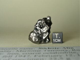 meteorite Sikhote - Alin,  Russia,  complete regmaglypted individual 23,  3 g 4
