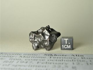 Meteorite Sikhote - Alin,  Russia,  Complete Regmaglypted Individual 23,  6 G