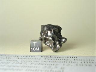 meteorite Sikhote - Alin,  Russia,  complete regmaglypted individual 23,  6 g 2