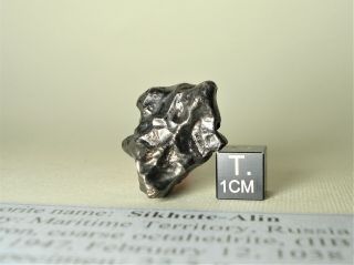 meteorite Sikhote - Alin,  Russia,  complete regmaglypted individual 23,  6 g 3