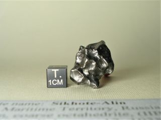meteorite Sikhote - Alin,  Russia,  complete regmaglypted individual 23,  6 g 4