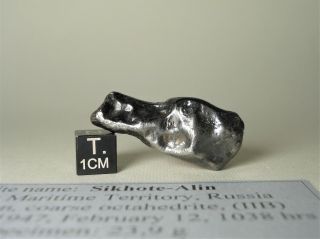Meteorite Sikhote - Alin,  Russia,  Complete Regmaglypted Individual 23,  9 G