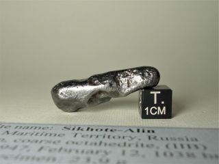 meteorite Sikhote - Alin,  Russia,  complete regmaglypted individual 23,  9 g 4