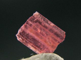 Extremely Rare Gem Vayrynenite Crystal From Pakistan - 0.  8cm - 0.  65 Carats