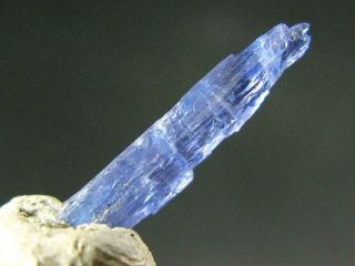 Rare Gem Jeremejevite Crystal From Namibia - 1.  9cm - 1.  75 Carats