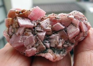 Rhodochrosite Pink Cubic Crystals On Matrix From PerÚ.  Gorgeous Piece.