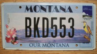 Single Montana License Plate - Bkd553 - Our Montana