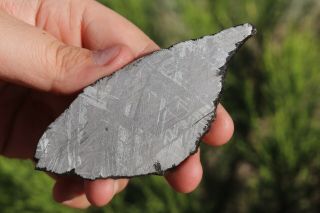 Muonionalusta Meteorite Etched Full Slice 40 Grams