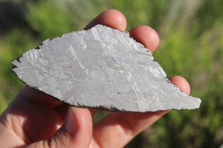 Muonionalusta meteorite etched full slice 40 grams 2