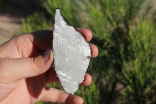 Muonionalusta meteorite etched full slice 40 grams 3