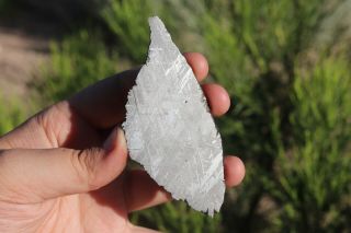 Muonionalusta meteorite etched full slice 40 grams 4