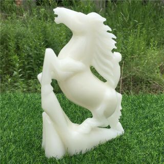 5.  91lb Natural White Jade Horse Skull Hand Carved Crystal Healing Wot1922