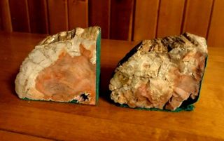 2 Ancient Petrified Wood Bookends Pair 160 Million Year Old Quartz Tree Fossil