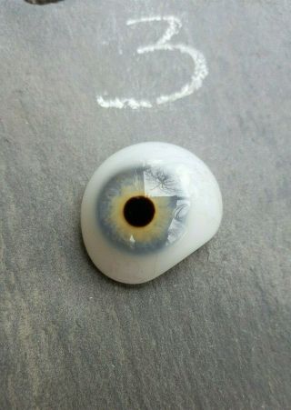 Vtg Rare Glass Human Prosthetic Eye Blue Gray Artificial Eye Art Science Medical
