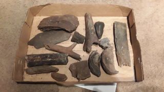 6,  Lbs Of Fossilized Whale Bones & More From Waccamaw River Sc
