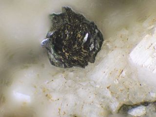 Cervandonite - (ce) From Binntal,  Ch Very Rare Mineral 2,  1 Cm