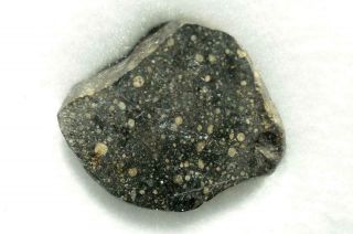 Nwa 753 Meteorite Rumurutite End Cut Weighing 2.  26g
