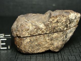 Meteorite - Hag - 0088 - 78.  40g - Al Haggounia - Enstatite - Full Stone - Half