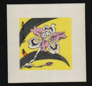 Tomikichiro Tokuriki Rare Japanese Woodblock Print Iris