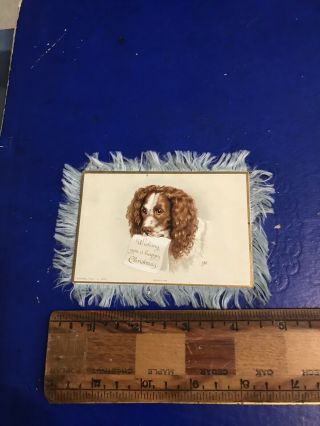Victorian Christmas Card Fringed Dogs Double