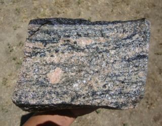 Huge 10 Pounds Of Morton Gneiss,  Oldest Rock In The Usa,  3.  5 Billion Years