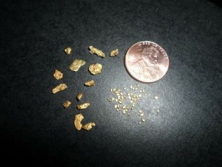 Gold 1.  5 Grams Of Natural Placer Gold High Purity From North Carolina Look