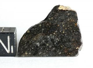 Meteorite Nwa 11436 - Rumuruti R3 - 6 (s3/w - Low) - Best Polished Slice 2.  91g