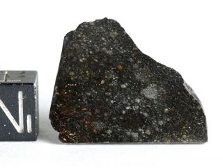 Meteorite NWA 11436 - Rumuruti R3 - 6 (S3/W - low) - Best polished Slice 2.  91g 2