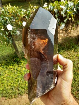 - 9 " Natural Large Smoky Quartz Morion With Window - 4.  14 Lbs
