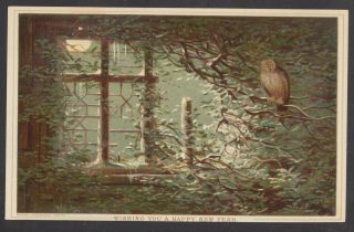 C6302 Victorian Tuck Prize Design Year Card: Owl In Ruins