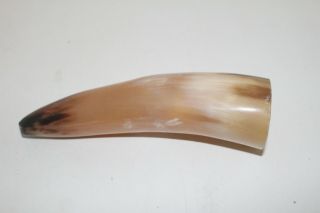 1 Cow Horn V1a94 Natural Colored,  Polished Cow Horns.
