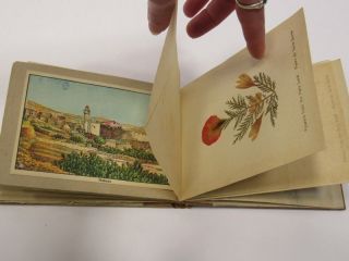 Vintage Pressed Flowers of Palestine Olive Wood Book Holy Land 1940s 2