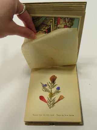 Vintage Pressed Flowers of Palestine Olive Wood Book Holy Land 1940s 4