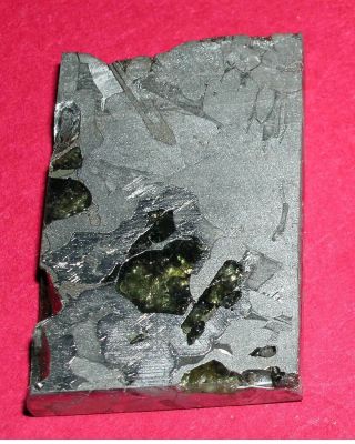 Seymchan Pallasite Meteorite 25.  8 Gram Etched Slice