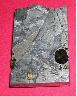 Seymchan pallasite meteorite 25.  8 gram etched slice 2