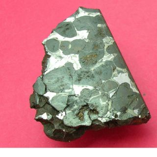 Sericho Pallasite Meteorite - 94.  4 Gram Polished Corner Cut