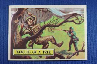 1965 Topps Battle Cards - 51 Tangled In A Tree -