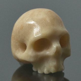 Human Skull Natural Agatized Fossil Coral Guru Bead 13.  12 Mm Carving 2.  44 G