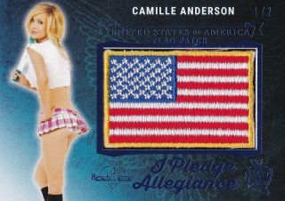 Camille Anderson 2018 Benchwarmer Pledge Allegiance Flag Patch Pink Foil Sp 1/2