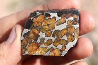 Sericho Meteorite Pallasite From Kenya Part Slice 11.  8 Grams