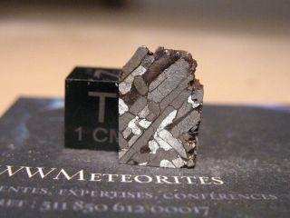 Meteorite Cape York (iron - Iiiab Octaedrite) - From The Agpalilik Mass.