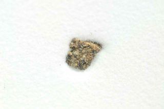 D ' Orbigny Angrite Meteorite 0.  05g fragment.  Found in Argentina 1979 RARE 2