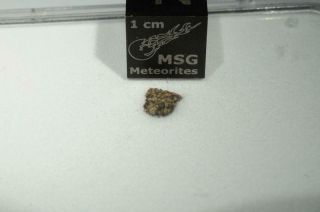D ' Orbigny Angrite Meteorite 0.  05g fragment.  Found in Argentina 1979 RARE 3