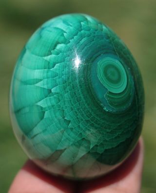 40mm 3.  1oz Natural Green Malachite Crystal Carving Egg