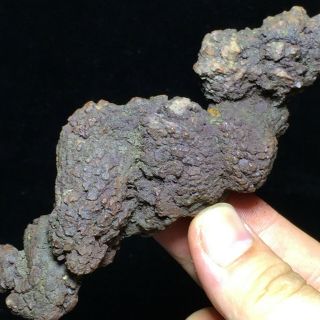 Top Rare Dinosaur Dung Coprolite Fossil Petrified Poop 182mm 206g A7882