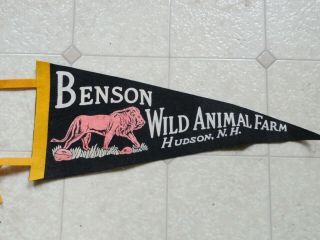 Vintage Benson Wild Animal Farm,  Hudson,  N.  H.  17x7 Zoo Lions Kids Room Decor