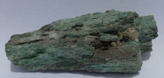 Chromium Petrified Wood - - Araucarioxylon Arizonicum - - Winslow,  Arizona