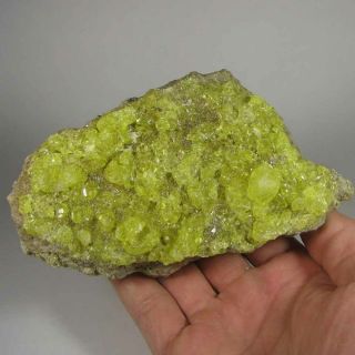 5.  4 " Yellow Sulfur Crystals Cluster - El Desierto Mine,  Bolivia